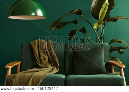 Minimalist Living Room Interior In Stylish House With Design Velvet Sofa, Carpet On Floor, Brown Woo