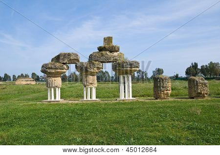 Parco archeologico. Metaponto. Basilicata. Italia.