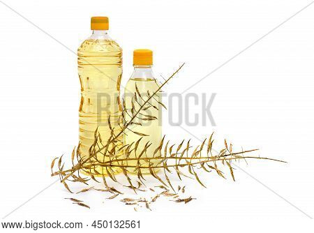 Bottles Of Oil Colza With Seed Of Colza On White Background  With Space For Text