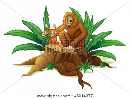 Illustration d'un tronc avec un petit et un gros orang-outan sur fond blanc