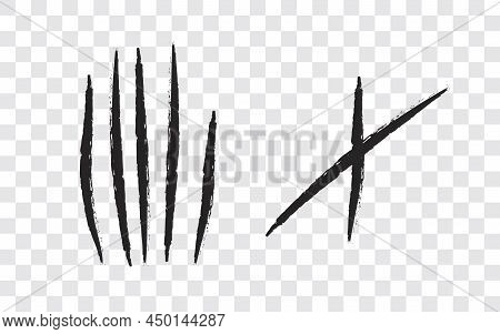 Claw Scratch Transparent Background Five Nails Trace Cat Tiger Scratches Paw Shape Black Bloody Claw