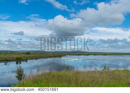 Hexham-swamp Wetland Part Of The Nsw National Park