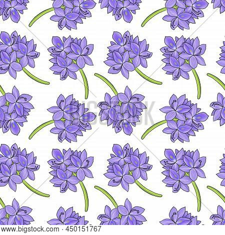 Seamless Pattern With Drawing Flower Of Water Hyacinth At White Background, Hand Drawn Illustration