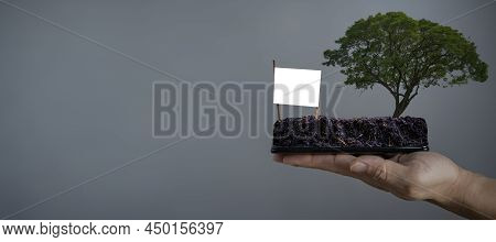 Vacant Land On The Smartphone Of A Businessman To Sell The Land To The People Who Want It. Blank Bil