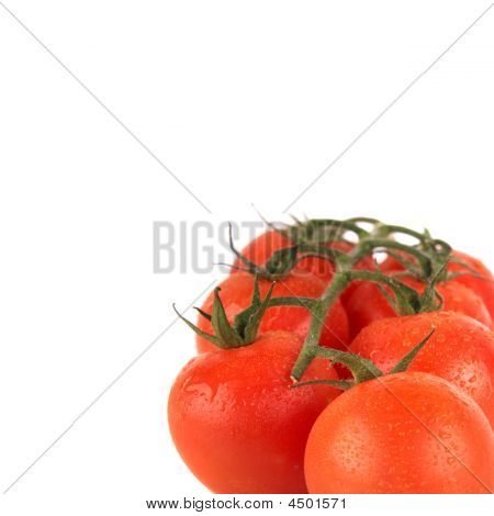 frische Lebensmittel