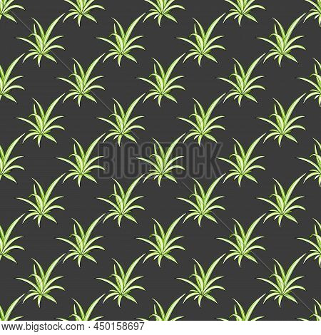 Seamless Pattern With Spider Plant Chlorophytum Comosum , Medicinal And House Plant. Vector Illustra