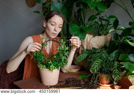 Spring Work Room Care, Houseplant Renunciation. Waking Up Indoor Plants For Spring. A Woman Transpla