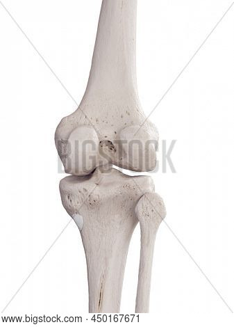 3d rendered medically accurate illustration of the anserine bursa