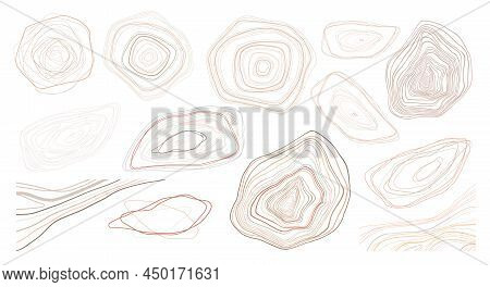 Set Of Irregular Organic Shapeles Linear Elements. Topografy Uneven Circles And Ellipses.