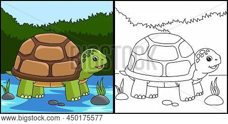 This Coloring Page Shows A Turtle One Side Of This Illustration Is Colored And Serves As An Inspirat