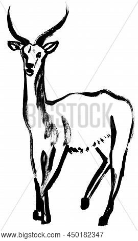 African Antelope Illustration Painted In Black Gouache Isolated On White Paper In Drybrush Technique