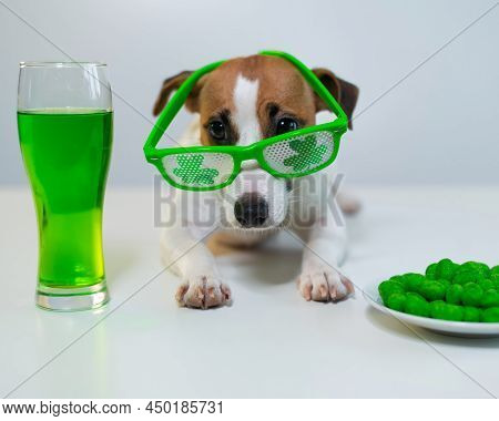 Dog With A Mug Of Green Beer And Glazed Nuts In Funny Glasses On A White Background. Jack Russell Te
