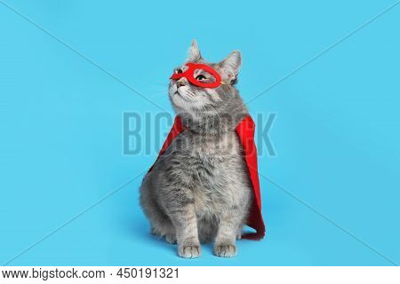 Adorable Cat In Red Superhero Cape And Mask On Light Blue Background