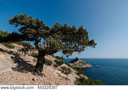 View Of Cape Kapchik In Resort Village Of Novy Svet In Crimea On Black Sea Coast In Summer