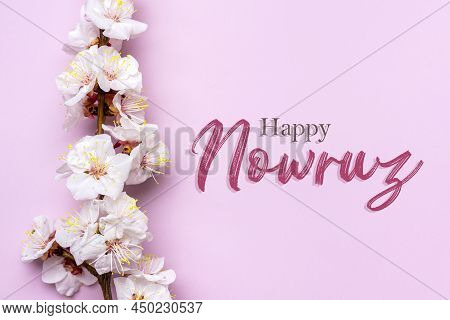 Sprigs Of The Apricot Tree With Flowers On Pink Background Text Happy Nowruz Holiday Concept Of Spri