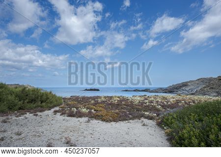 Psammophile Plant Communities In Cape Of Favaritx, Municipality Of Mahon, Menorca, Spain