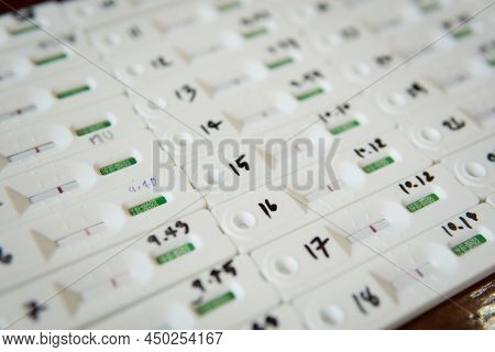 Rapid Antigen Test Kit Atk With Group People Negative Result During Swab For Back To School, Office