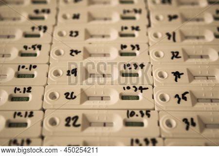 Rapid Antigen Test Kit Atk With Group People Negative Result During Swab For Back To School, Office