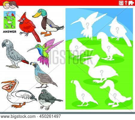 Cartoon Illustration Of Match Pictures And The Right Shape Or Silhouette With Birds Animal Character