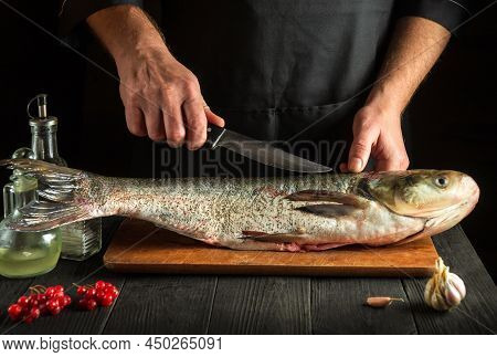 Professional Chef Prepares Silver Carp Herring In The Restaurant Kitchen. Preparation For Cutting Fi
