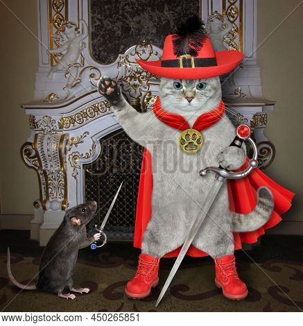 An Ashen Cat Dressed In Red Musketeer Costume With A Sword Is Standing At A Fireplace Of Castle.