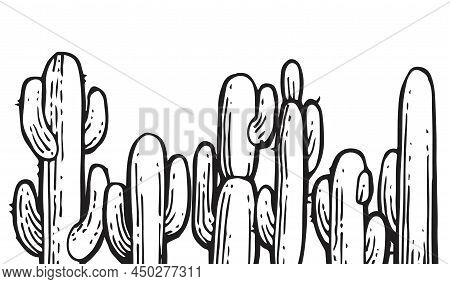 Dense Thickets Of Large Prickly Cactus. An Exotic Southern Plant From The Desert. Outline Sketch. Ha
