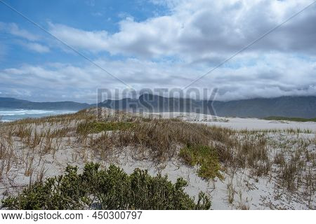Cape Nature Walker Bay Beach Near Hermanus Western Cape South Africa. White Beach And Blue Sky With 