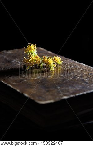 Old Book With Some Yellow Flowers. Vertical Photography. Copyspace. Selective Focus.