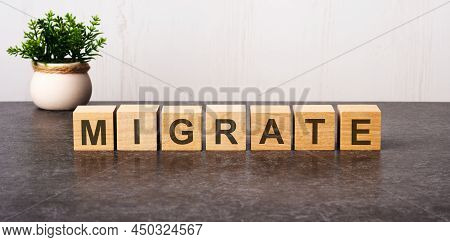 Word Migrate Made With Wood Building Blocks