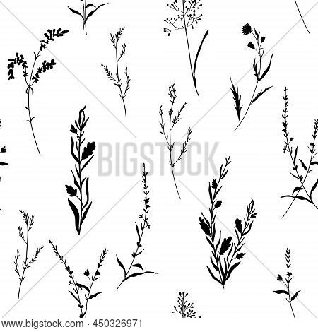 Monochrome Vector Texture. Silhouettes Blossom Floral Seamless Pattern. Hand Drawn Wild Flowers On W
