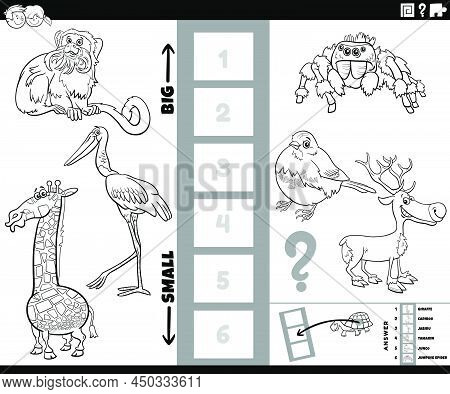 Black And White Cartoon Illustration Of Educational Game Of Finding The Biggest And The Smallest Ani