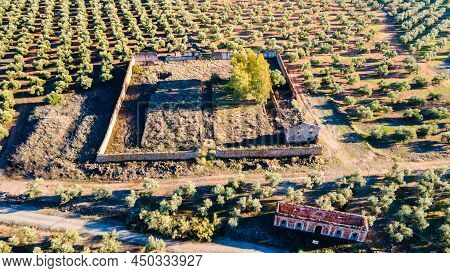 Andalusian Olive Groves In Jaen, Home To 37.6% Of The Total Olive-growing Land In Andalusia, Spain, 