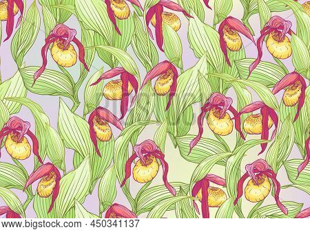 Ladys Slipper Orchid, Cypripedioideae, Seamless Pattern, Background. Vector Illustration. In Botanic