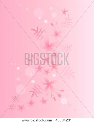 재 스민