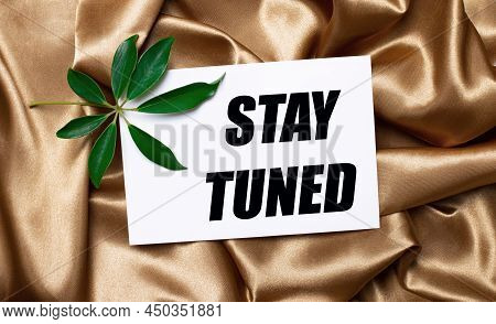 On Beautifully Curved Golden Silk Lies A Shefflera Sheet And A White Card With The Text Stay Tuned.
