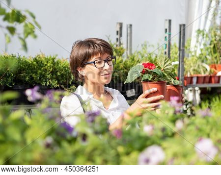 Woman Chooses Plants For Landscaping. Outdoor Shelves With Seedlings, Flowering Plants And Seeds In 
