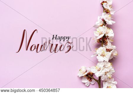 Sprigs Of The Apricot Tree With Flowers On Pink Background Text Happy Nowruz Holiday Concept Of Spri