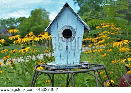 Blue Decretive Birdhouse Surrounded By Black Eyed Susan Flowers