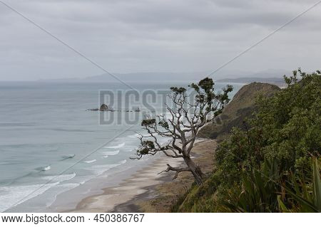 The View Of Picturesque Landscape With Inclined Tree At The Cliff, Sea And Rainy Clouds On Backgroun
