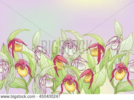 Ladys Slipper Orchid, Cypripedioideae, Seamless Pattern, Background. Vector Illustration. In Botanic