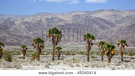 Indio Hills