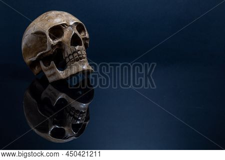 Wood Skull On Dark Reflective Background. Copy Space