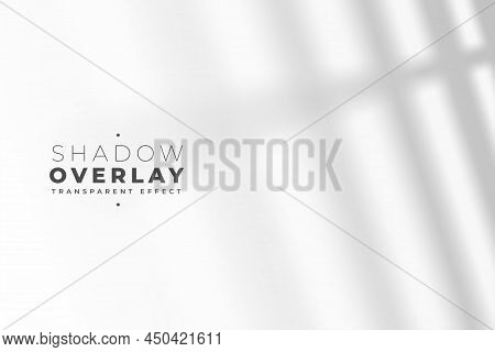 Transparent Shadow Effect Of Windowpane Vector Illustration