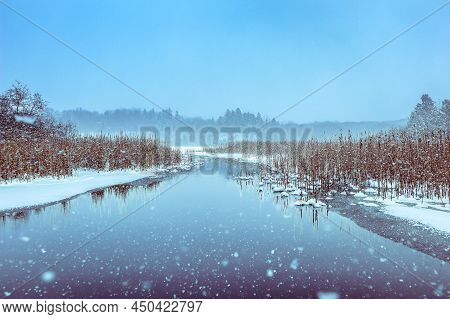 Winter Scene Of Pond With Cattails During Snowfall