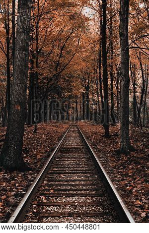 Low Angle Photo Of Single Train Track Through The Forest.