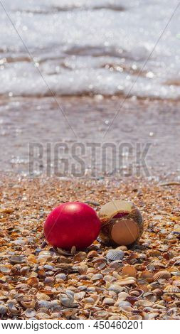 Colorful Easter Eggs Surrounded By Seashells On An Ocean Beach Against A Background Of Sparkling Sea