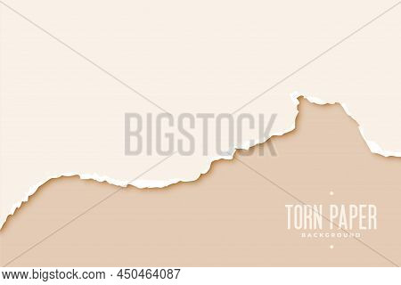 Ripper Torn Paper Sheet Realistic Background Vector Illustration