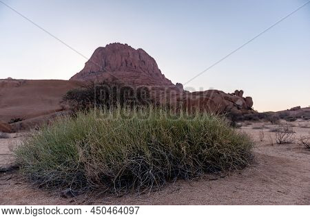 Impression Of The Namibian Desert Around Spitzkoppe And Its Vegetation.