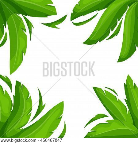 Palm Tree Frame. Cartoon Summer Background With Palm Leaves, Decorative Foliage Banner. Vector Illus