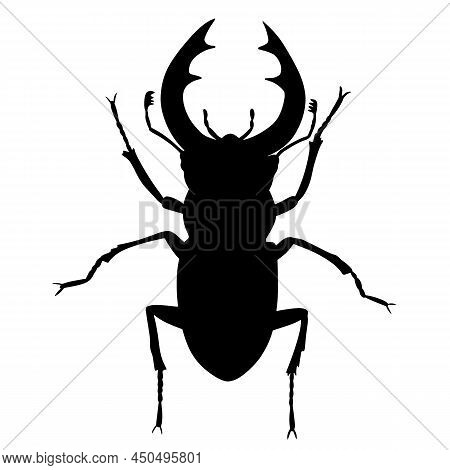 The Stag Beetle. Bark Beetle Is A Pest Of The Forest. An Insect With Huge Horns And Jaws. A Flying I